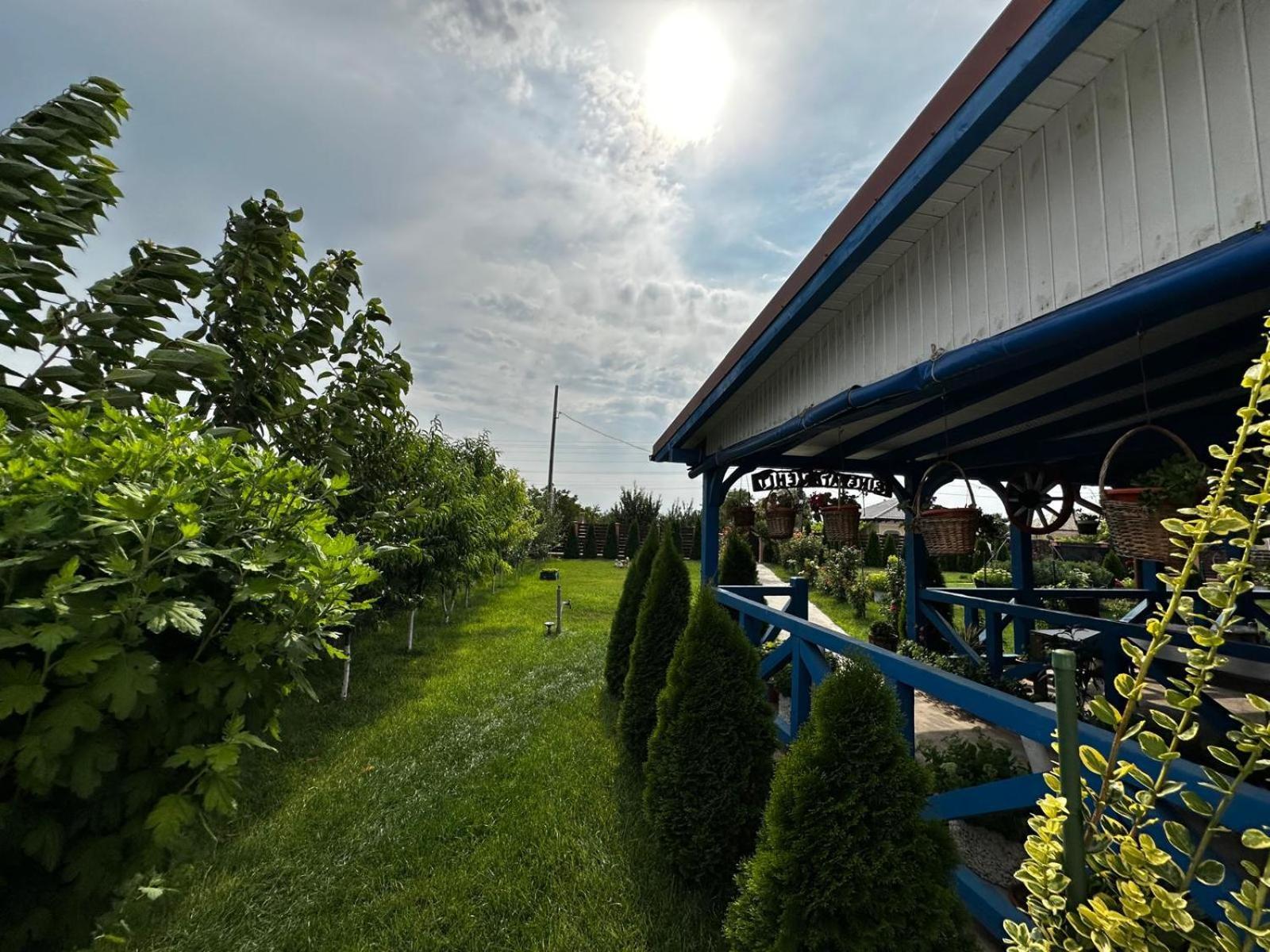 Hotel Agropensiuea Casa Uncu Murighiol Exterior foto